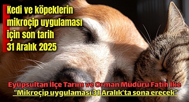 Evcil Hayvanlarda Mikroçip Uygulamasında Son Gün 31 Aralık