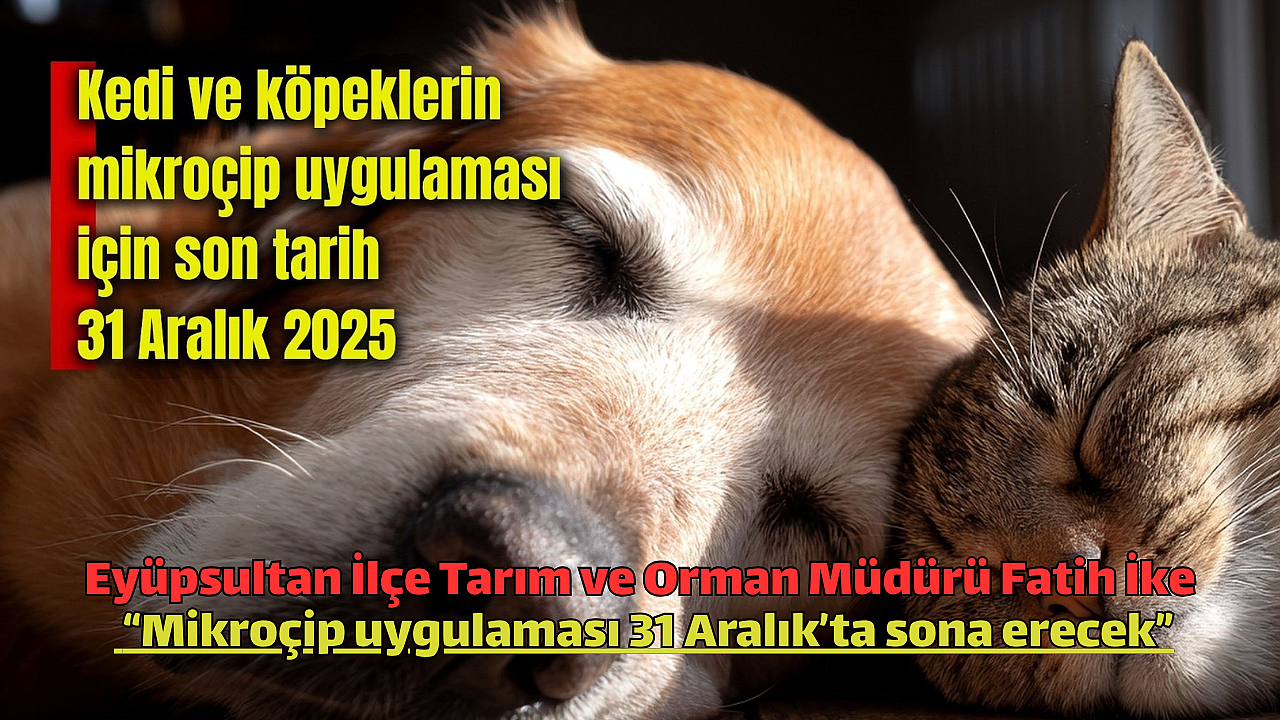 Evcil Hayvanlarda Mikroçip Uygulamasında Son Gün 31 Aralık