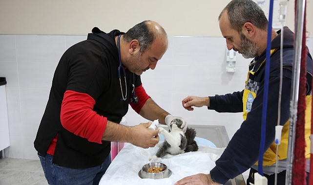 Eyüpsultan’da Patili Dostlar İçin Yoğun Çalışma