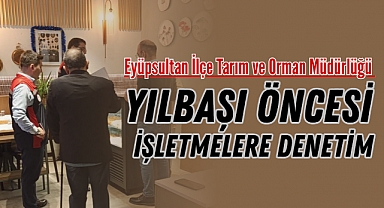 Yılbaşı Öncesi İşletmelere Denetim