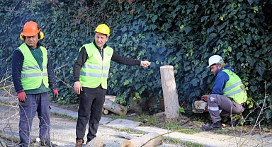 Eyüpsultan’da İstilacı Böceğe Karşı 