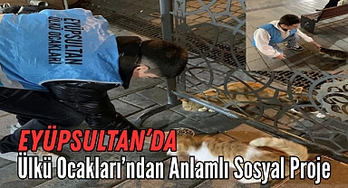 Eyüpsultan'da Ülkü Ocakları'ndan Sokak Hayvanlarına Destek