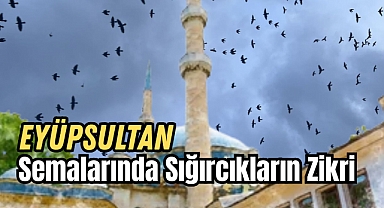 Eyüpsultan Semalarında Sığırcıkların Zikri