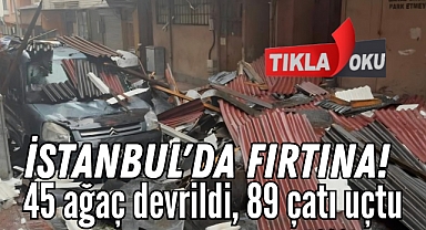 İstanbul'da fırtına: 45 ağaç devrildi, 89 çatı uçtu
