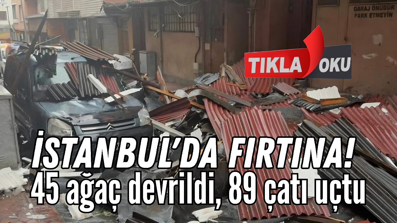 İstanbul'da fırtına: 45 ağaç devrildi, 89 çatı uçtu