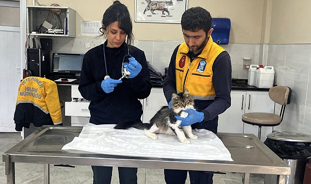 Kemerburgaz’da Patili Dostlara Umut Olan Merkez