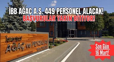 İBB Ağaç A.Ş 449 işçi alımı yapıyor: İşte kadrolar ve başvuru şartları...
