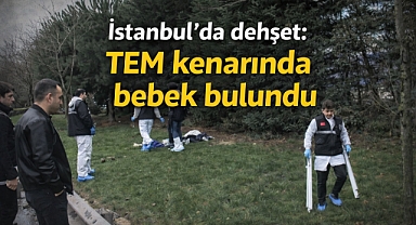 İstanbul'da dehşet: TEM kenarında bebek bulundu