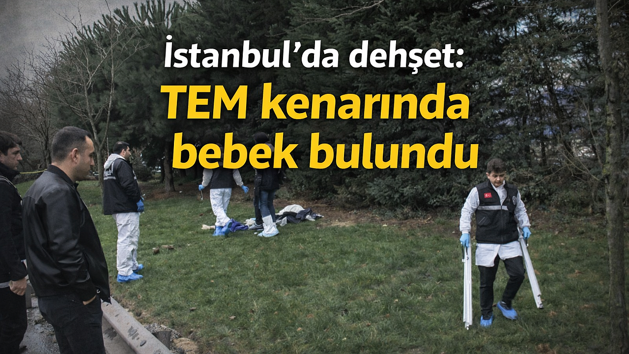 İstanbul'da dehşet: TEM kenarında bebek bulundu