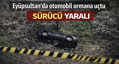 Eyüpsultan’da otomobil ormana uçtu: Sürücü yaralı