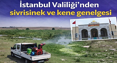 İstanbul Valiliği’nden sivrisinek ve kene genelgesi