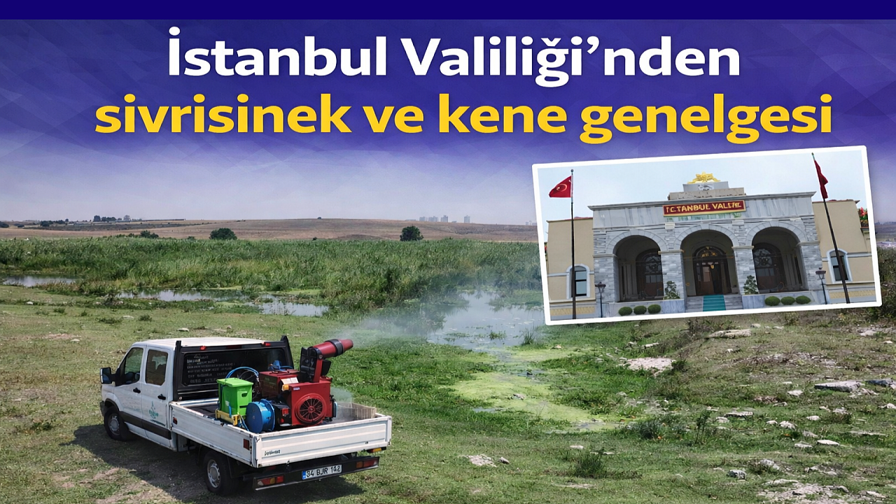 İstanbul Valiliği’nden sivrisinek ve kene genelgesi