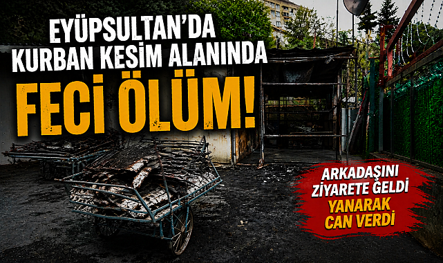 Eyüpsultan’da Kurban Kesim Alanında Feci Ölüm: Arkadaş Ziyareti Felaketle Bitti!