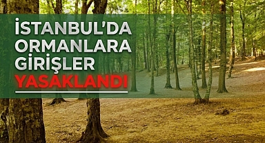 İstanbul'da ormanlara girişler yasaklandı: İşte detaylar