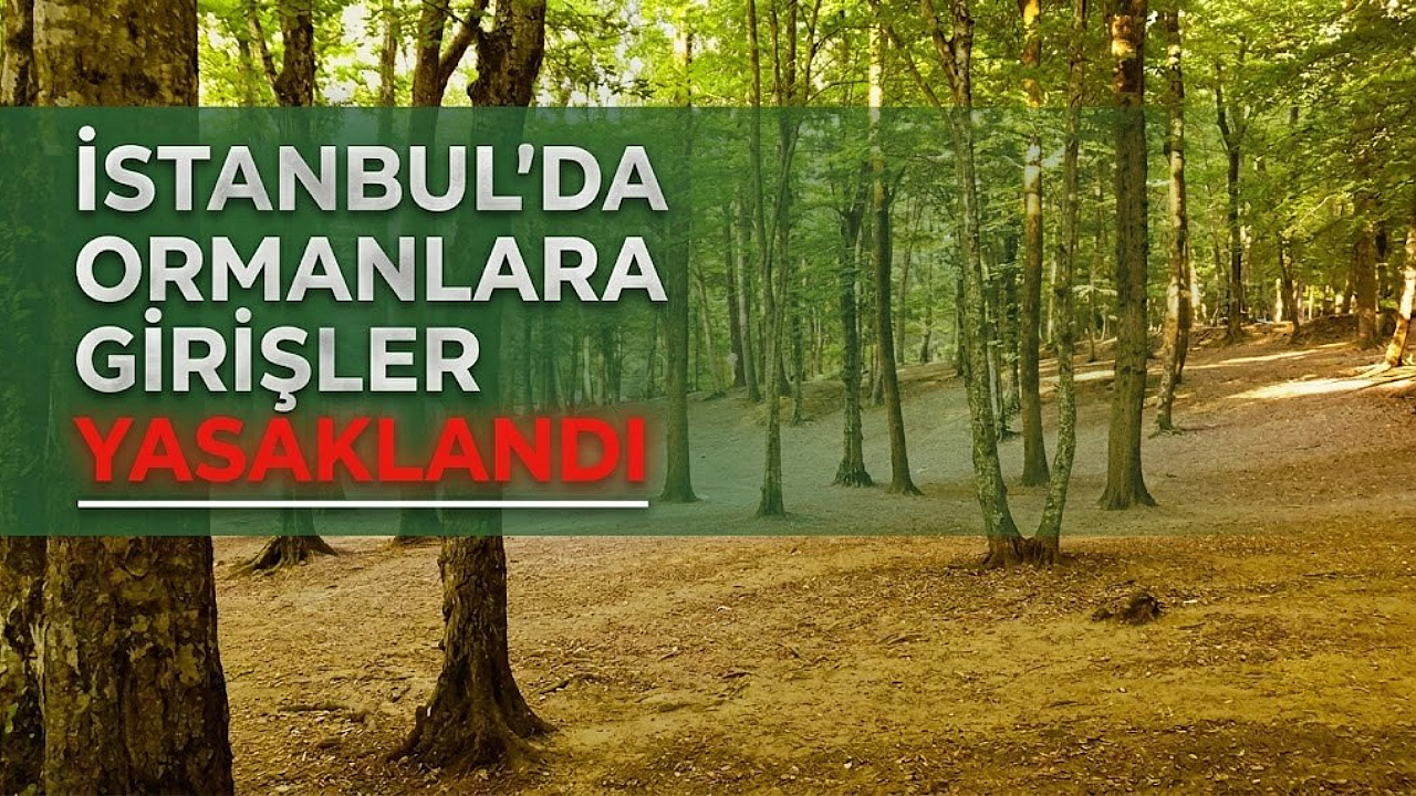 İstanbul'da ormanlara girişler yasaklandı: İşte detaylar