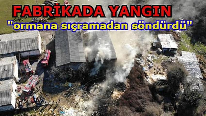 EYÜPSULTAN'DA FABRİKADA ÇIKAN YANGIN ORMANA SIÇRAMADAN SÖNDÜRÜLDÜ