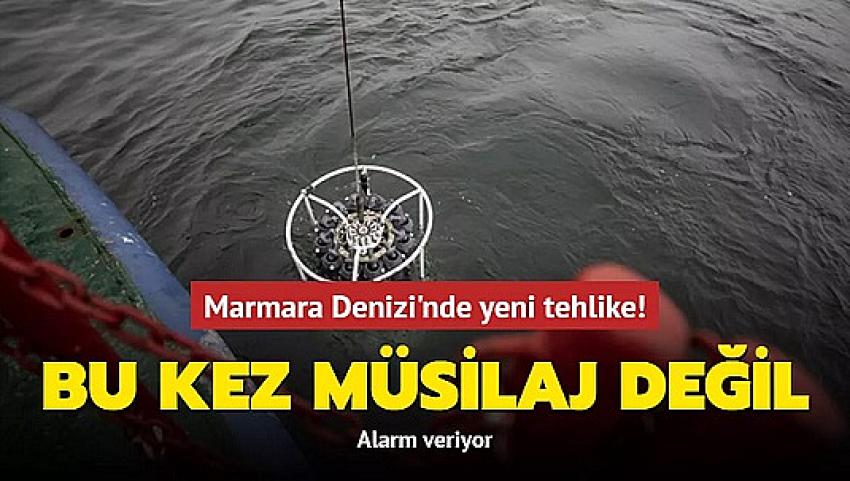 Sondakika, Marmara Denizi oksijen alarmı veriyor