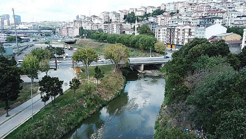 Alibeyköy Deresi'nde neler oluyor?