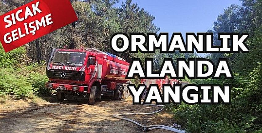 Göktürk’te ormanlık alanda yangın çıktı | Eyüpsultan Haber