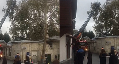 Eyüpsultan Camii Avlusunda martı operasyonu