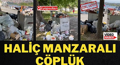 CHP'nin kazandığı Eyüpsultan'da çöp dağları oluşmaya başladı. Belediye günlerdir çöpleri toplamıyor