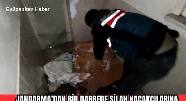 JANDARMA'DAN BİR DARBEDE SİLAH KAÇAKÇILARINA 