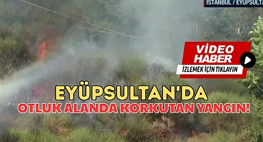 Eyüpsultan'daki otluk alanda korkutan yangın!